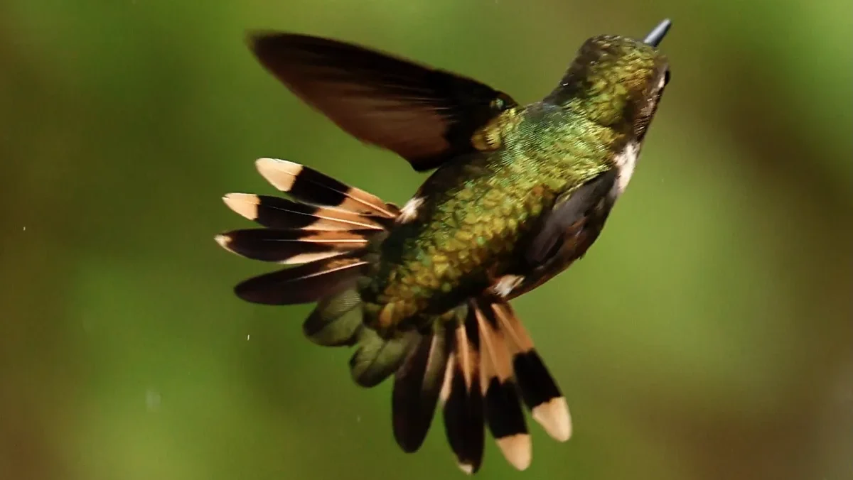 quintagaleon-photos-guests-1200-001