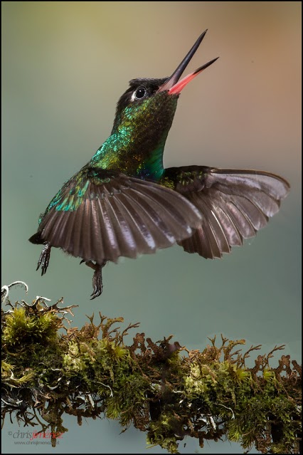 Multi Flash Photography Workshops at Quinta GALEON by Chris Jimnez