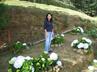 Our proud Quinta GALEON owner with her hydrangeas