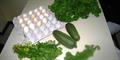 Some of our Organic Auto-Sustainable Farm crops