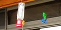 Steely-Vented Hummingbird (Amazillia saucerottei)