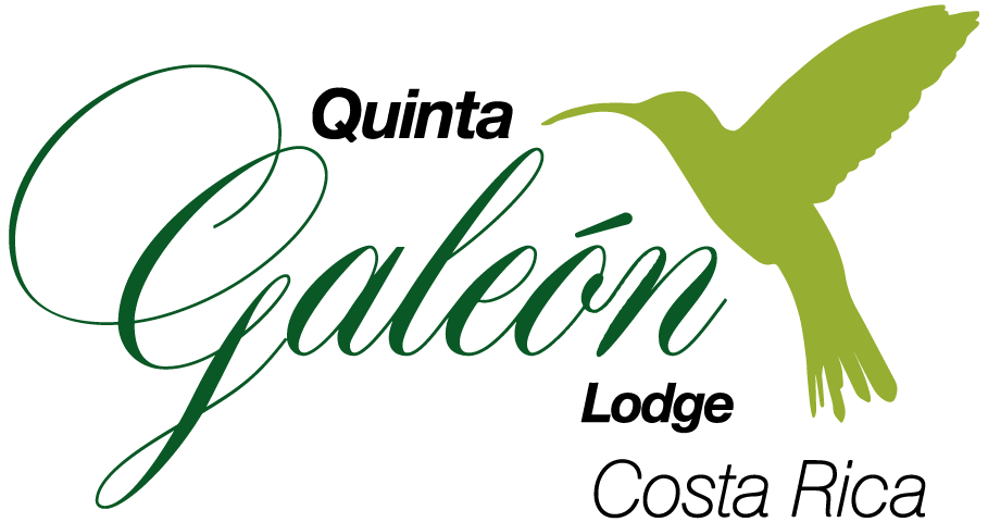 Quinta GALEON Lodge | Hummingbird and Birding Photography Paradise Hotel