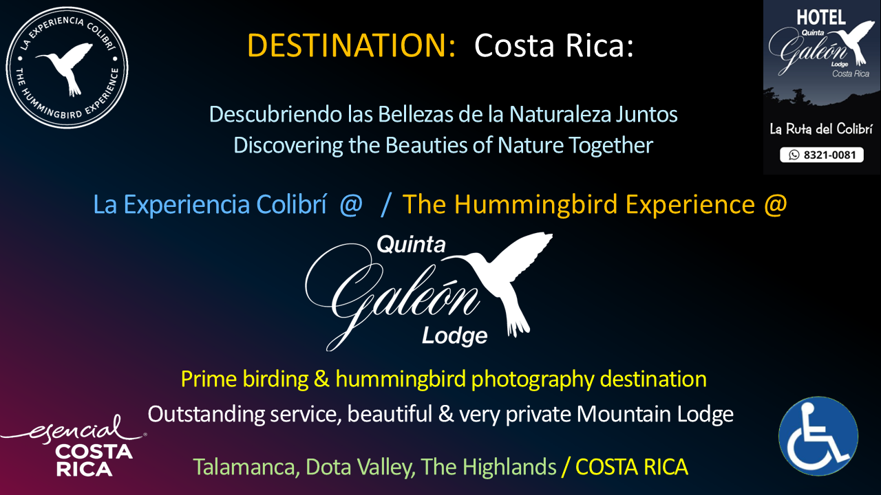 16x9-La Experiencia Colibrí - The Hummingbird Experience 2